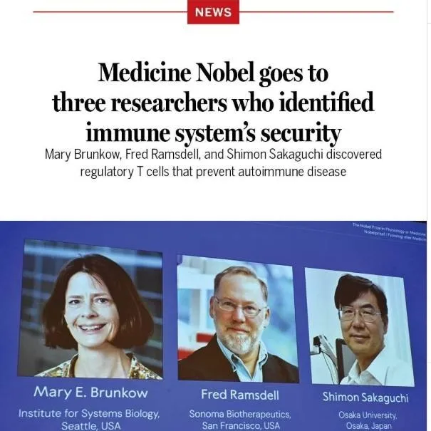 2025 Nobel Tıp Ödülü: Bağışıklık Sisteminin Dengesini Çözen Bilim İnsanlarına