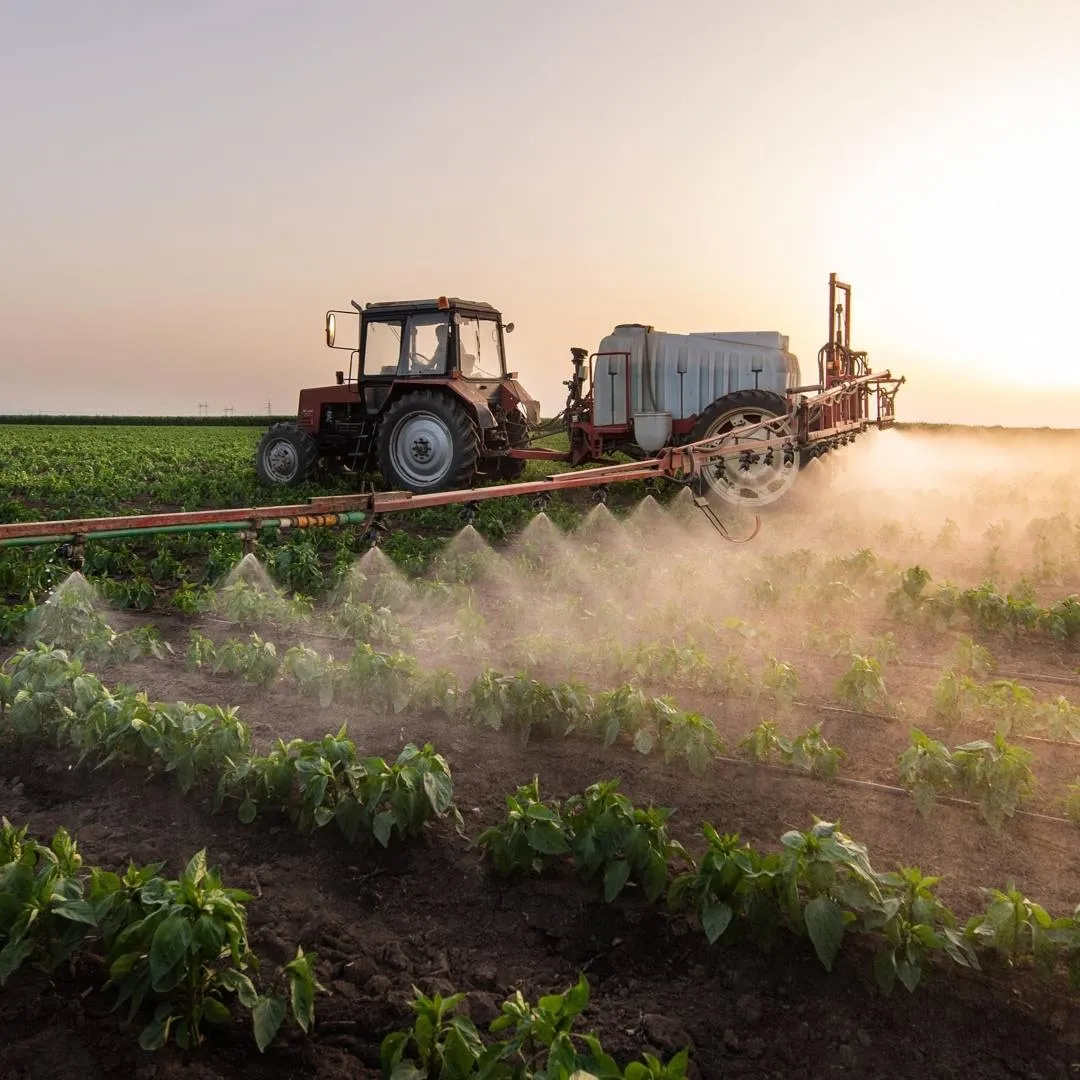 Sağlık Gerçekleri: Temiz Gıdaya Erişim, İnsan Hakları ve Halk Sağlığı Krizi!