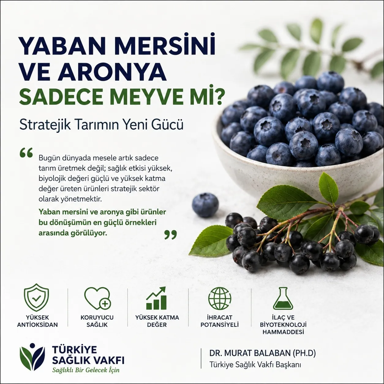 Yüksek Antioksidan Değeriyle Yaban Mersini ve Aronya: Sadece Meyve mi, Stratejik Tarım Ürünü mü?